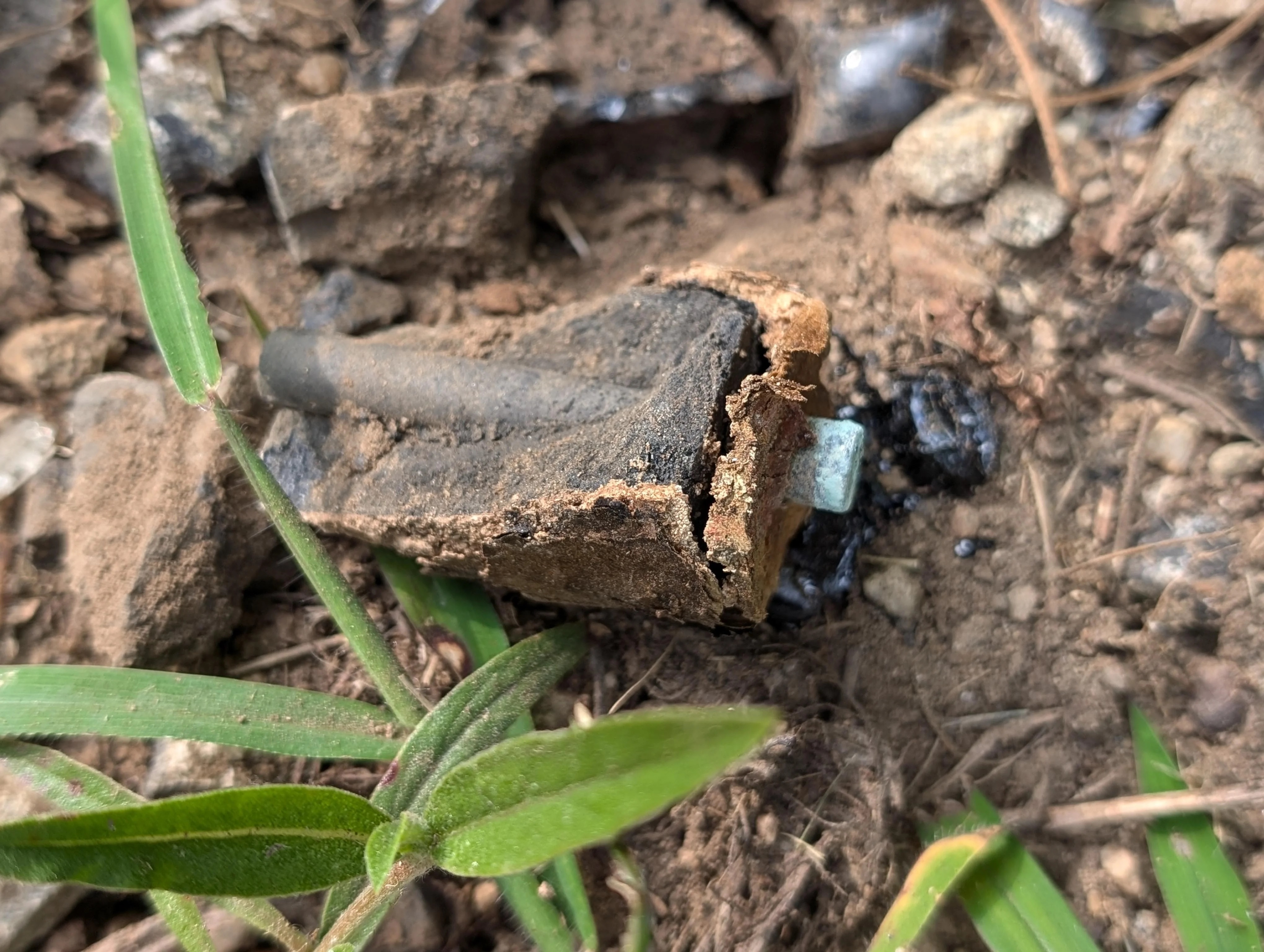 A narrow metal cylinder surrounded by degraded paper-like material with a dark core in soil with surrounding grass