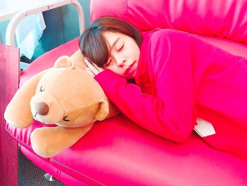 DAISO（ダイソー）のかわいいクマさんグッズ「抱きまくら（熊さん、58cm）」「抱きまくら（熊さん、44cm）」