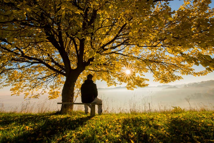 A person sits on a bench under a tree in a peaceful, sunlit landscape with misty hills in the background