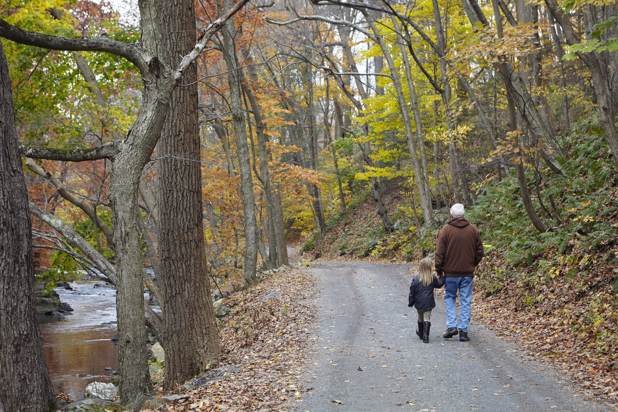 A person and a child walk hand in hand down a forest path surrounded by trees with autumn leaves