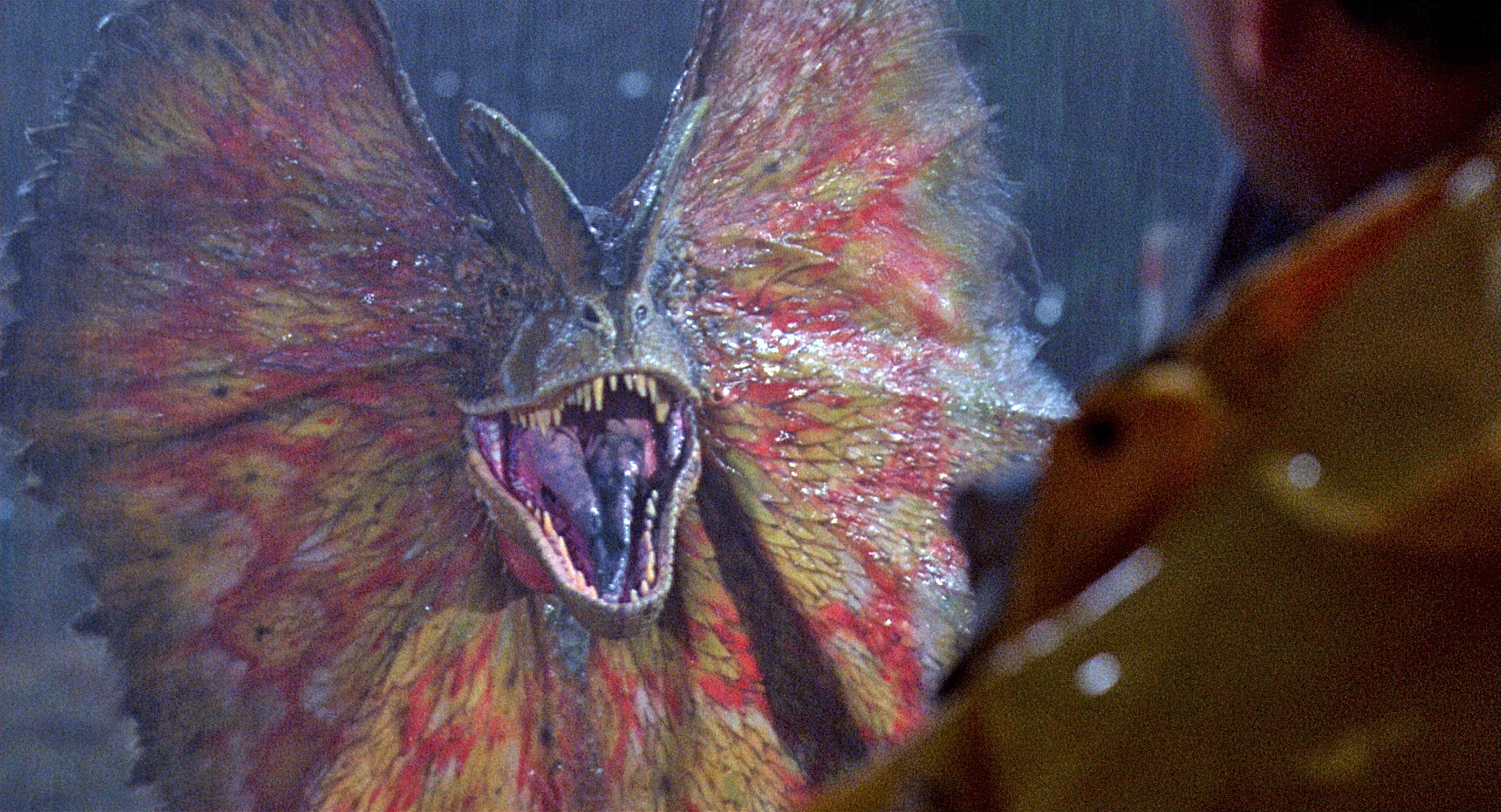 Dilophosaurus, a dinosaur from "Jurassic Park," displays its frill and bares its teeth menacingly at a person in the rain