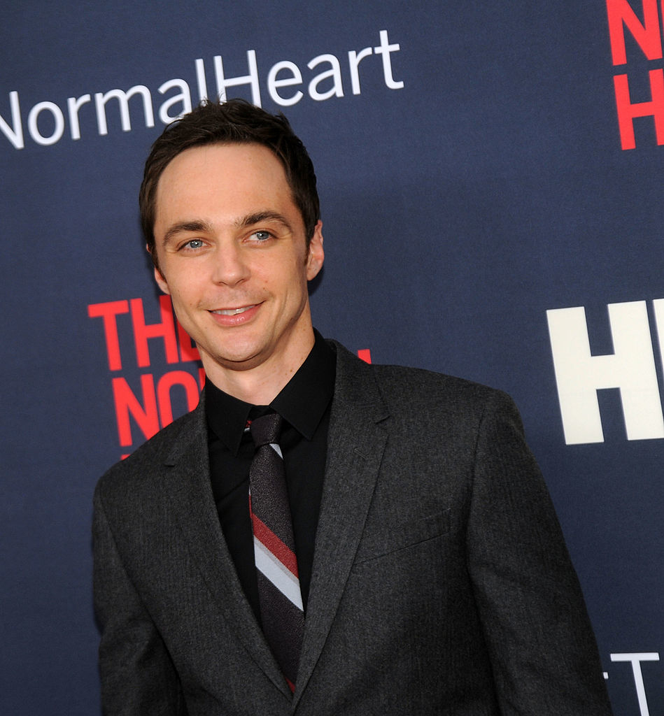 Jim Parsons on the red carpet, wearing a dark suit and tie at "The Normal Heart" premiere