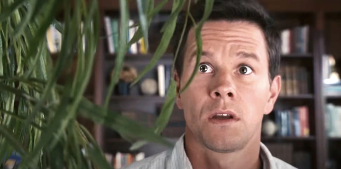 Mark Wahlberg looks surprised, standing in front of a plant, with a bookshelf in the background