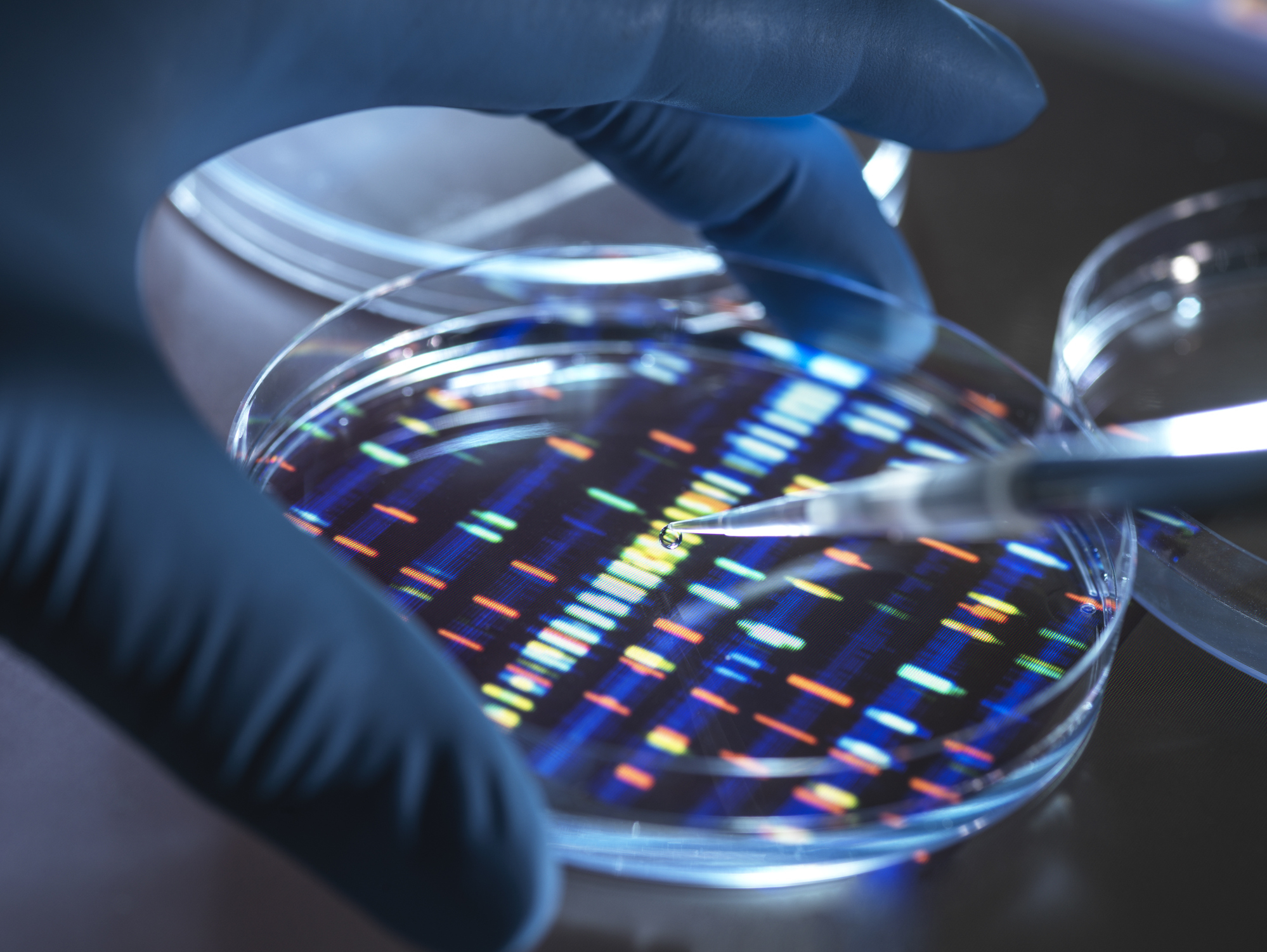 A gloved hand holds a pipette over a petri dish with a DNA sequence pattern, illustrating scientific research. No people are in the image