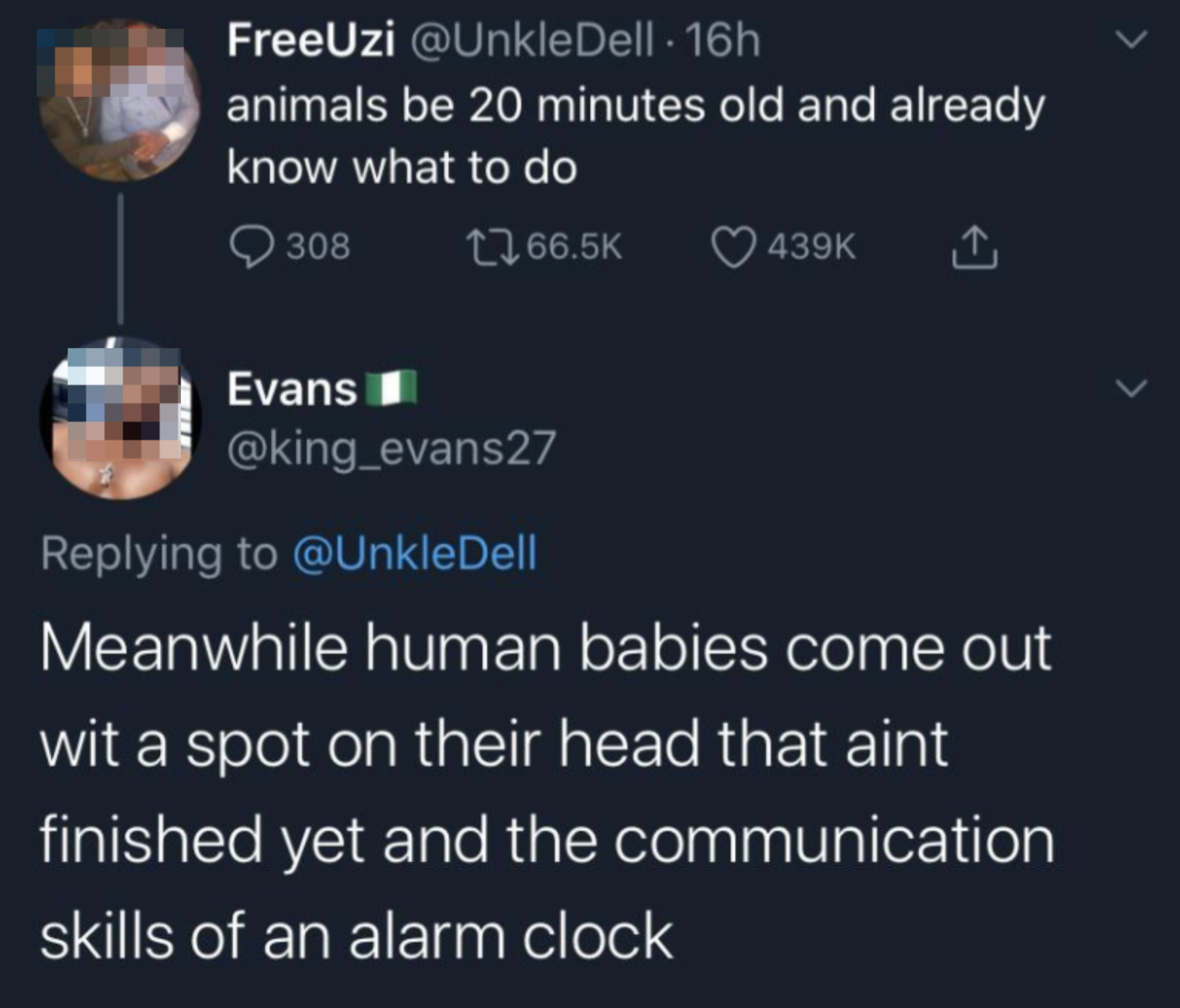 A tweet by @UnkleDell saying, "animals be 20 minutes old and already know what to do", and a reply by Evans saying, "Meanwhile human babies come out with a spot on their head that ain't finished yet and the communication skills of an alarm clock"