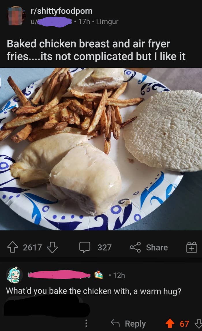 Image of a Reddit post from /r/shittyfoodporn. It shows a plate with baked chicken breast, air fryer fries, and pita bread. A comment below asks, "What'd you bake the chicken with, a warm hug?"