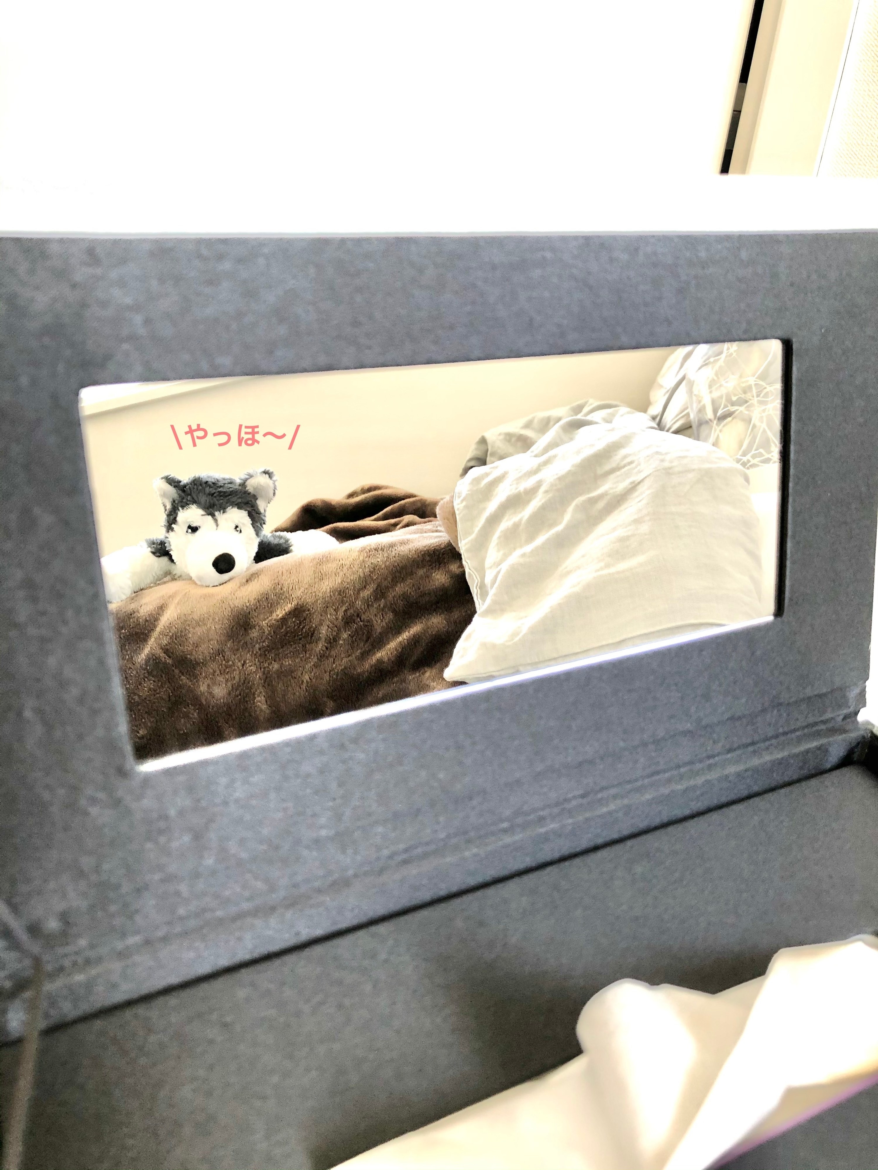 Francfranc(フランフラン)の激かわ雑貨「ティッシュボックス クリシア キャット」