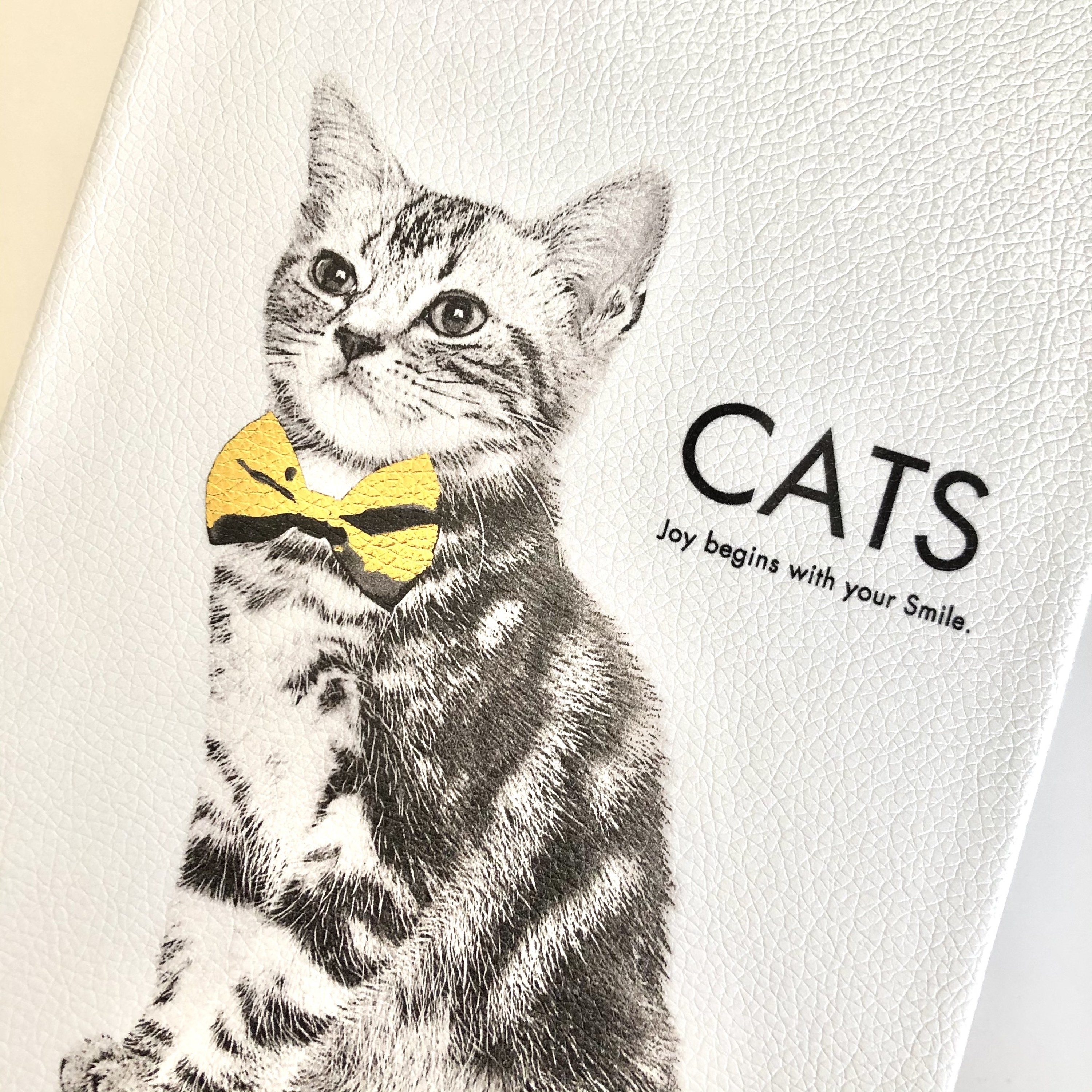 Francfranc(フランフラン)の激かわ雑貨「ティッシュボックス クリシア キャット」