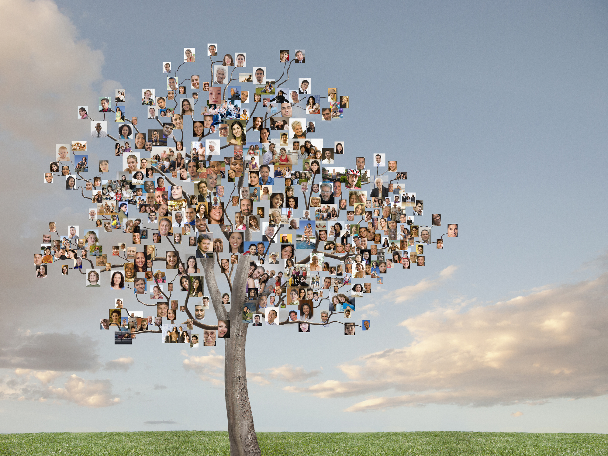 Family tree illustration featuring photos of various individuals of different ages, presumably family members across multiple generations, against a sky backdrop