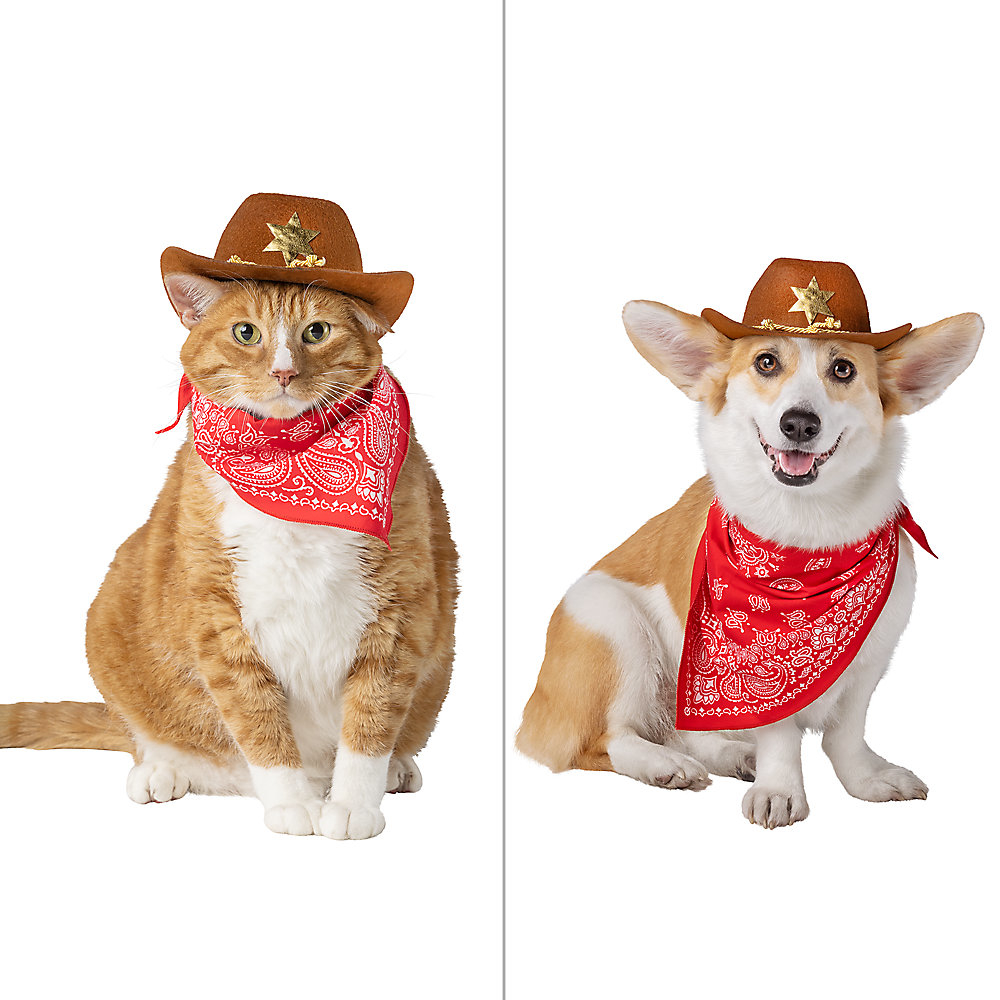 A cat and a dog wearing cowboy hats and red bandanas with white paisley patterns around their necks