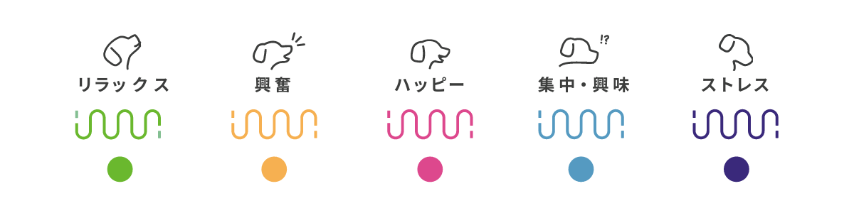 イヌパシーの光り方と愛犬の感情