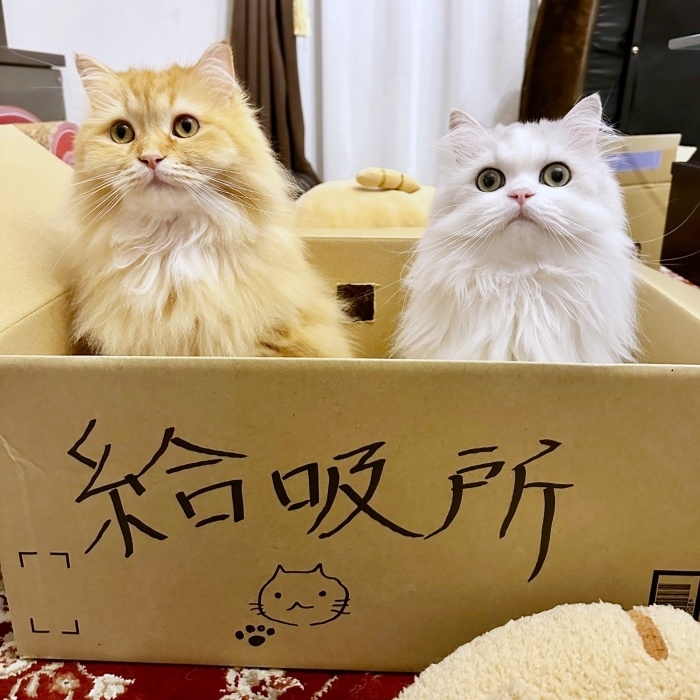 “給吸所”でそろって並ぶエマちゃん(左)とノーマンくん(右)