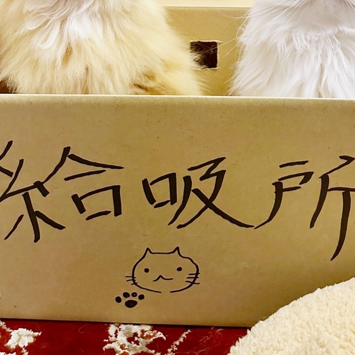 “給吸所”の文字とともに描かれた猫と肉球のイラスト