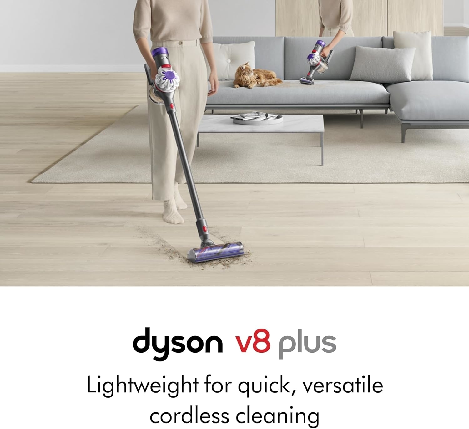 Person vacuuming a light-colored floor with a Dyson V8 Plus while a dog rests on a couch in the background. Text: "dyson v8 plus Lightweight for quick, versatile cordless cleaning"