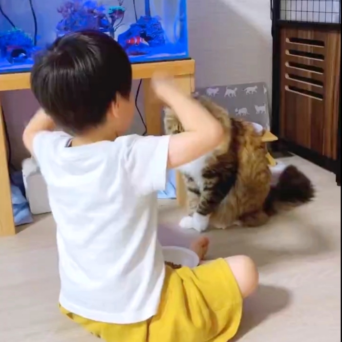 息子さんの前でちょこんと座るルーナちゃん