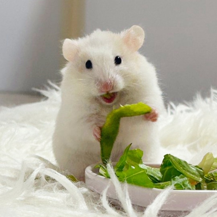 枝豆おいしい！と言いたげなスマイルを見せるびびちゃん