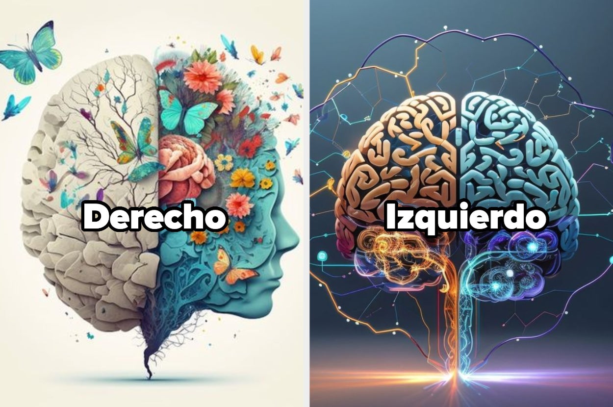 En la imagen, dos ilustraciones de cerebros etiquetados como "Derecho" y "Izquierdo" muestran una cara con flores y mariposas y un cerebro con conexiones tecnológicas