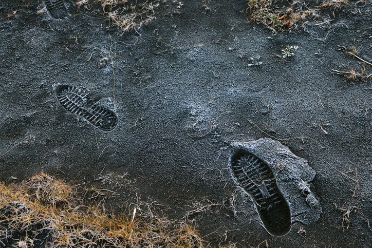 Two sets of shoe prints in dirt, partial traces of vegetation around