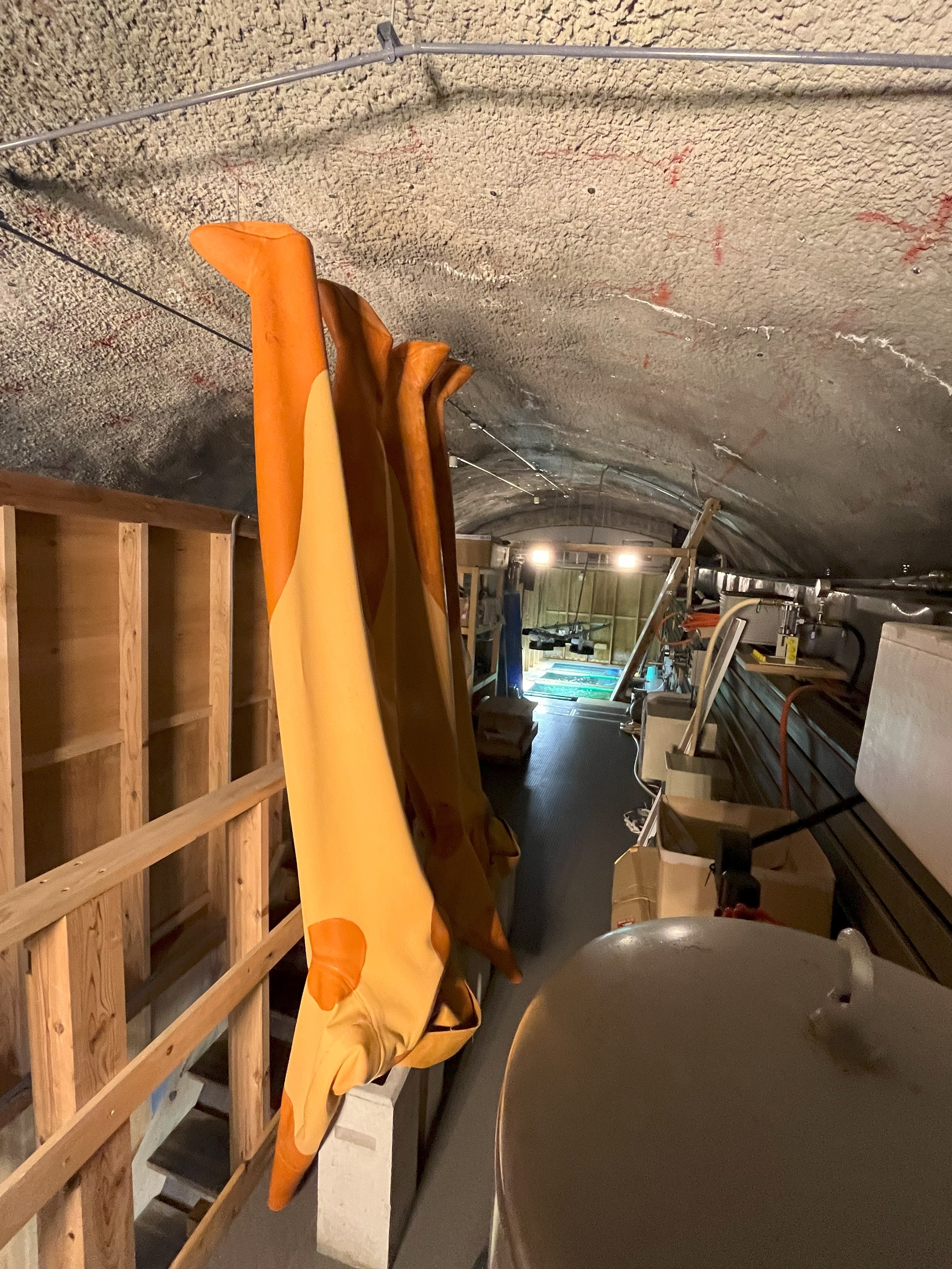 潜水服を干す様子