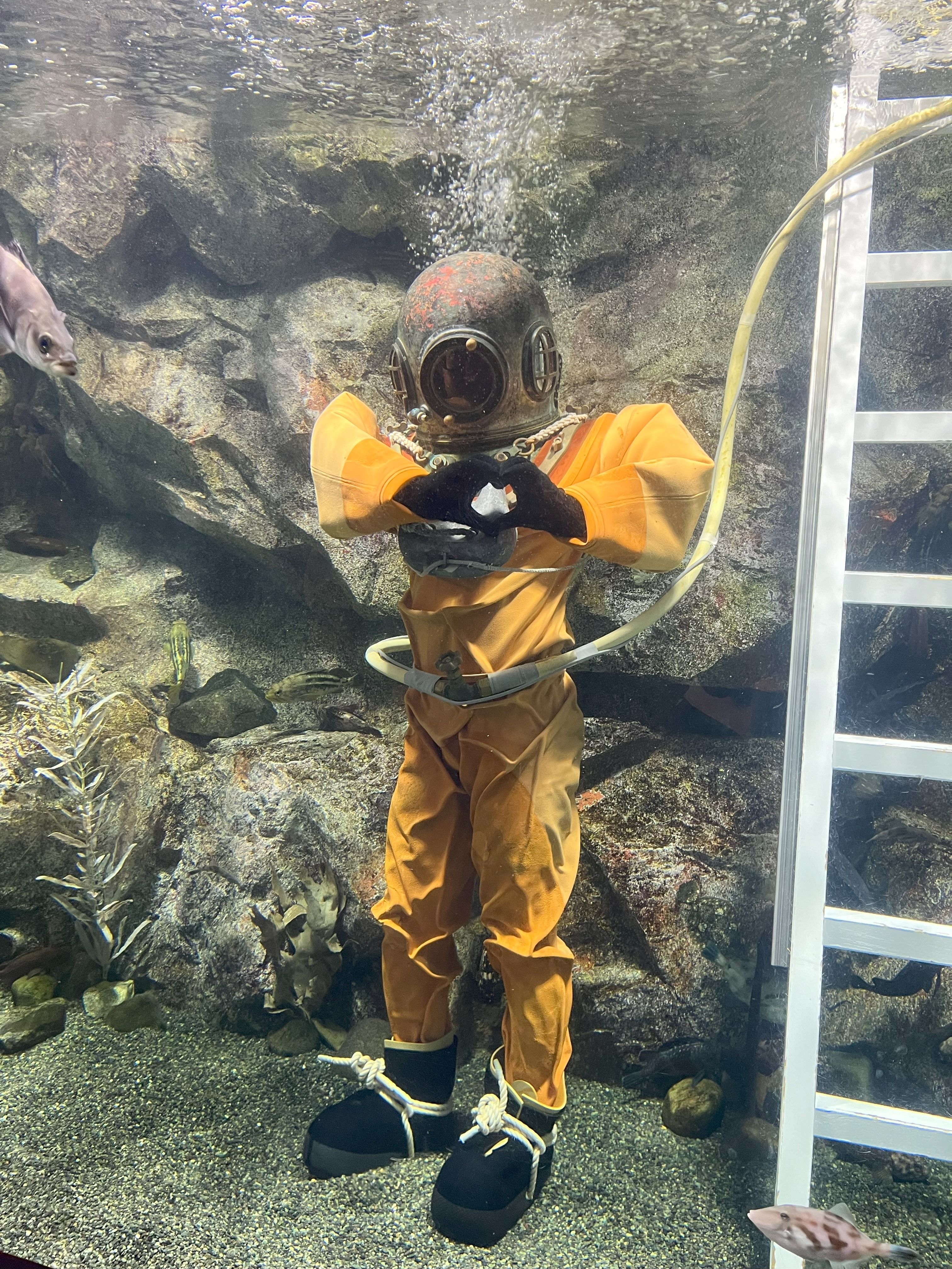 水槽の中で立つ南部ダイバーさん
