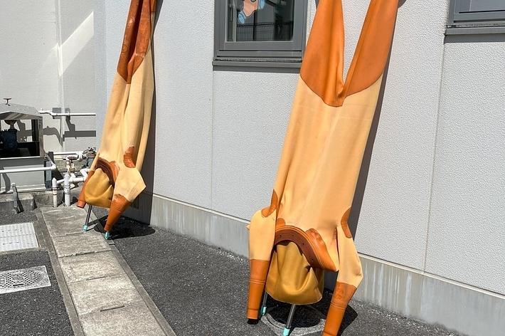 南部ダイバーさんの一夜干し