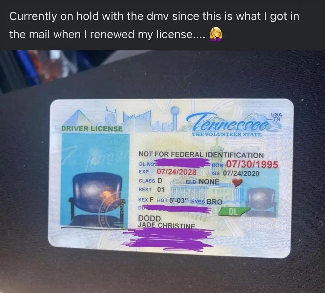 Tennessee driver's license with a photo of a chair instead of a person's photo. Caption mentions being on hold with the DMV after renewing the license