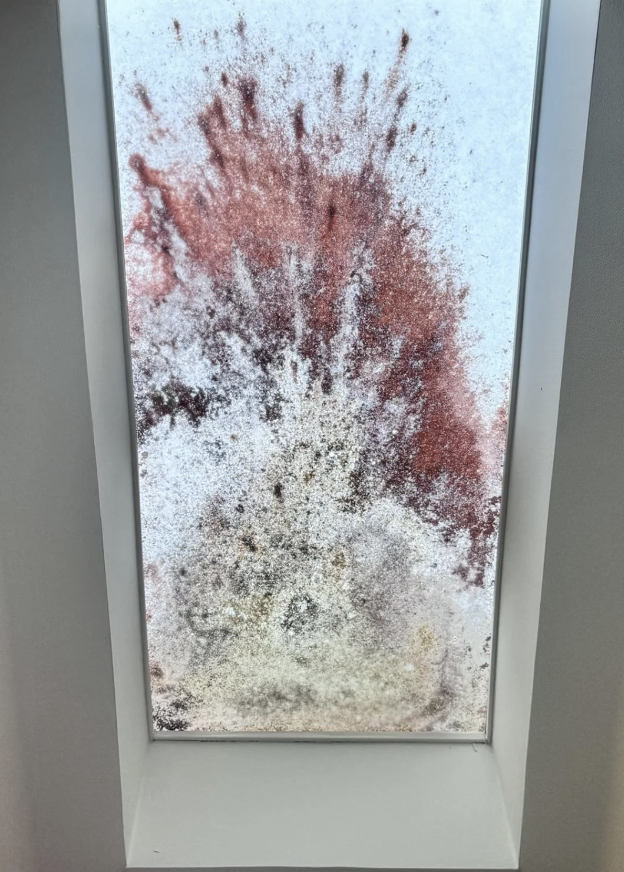A skylight window partially covered in snow with some reddish-brown stains visible on the snow