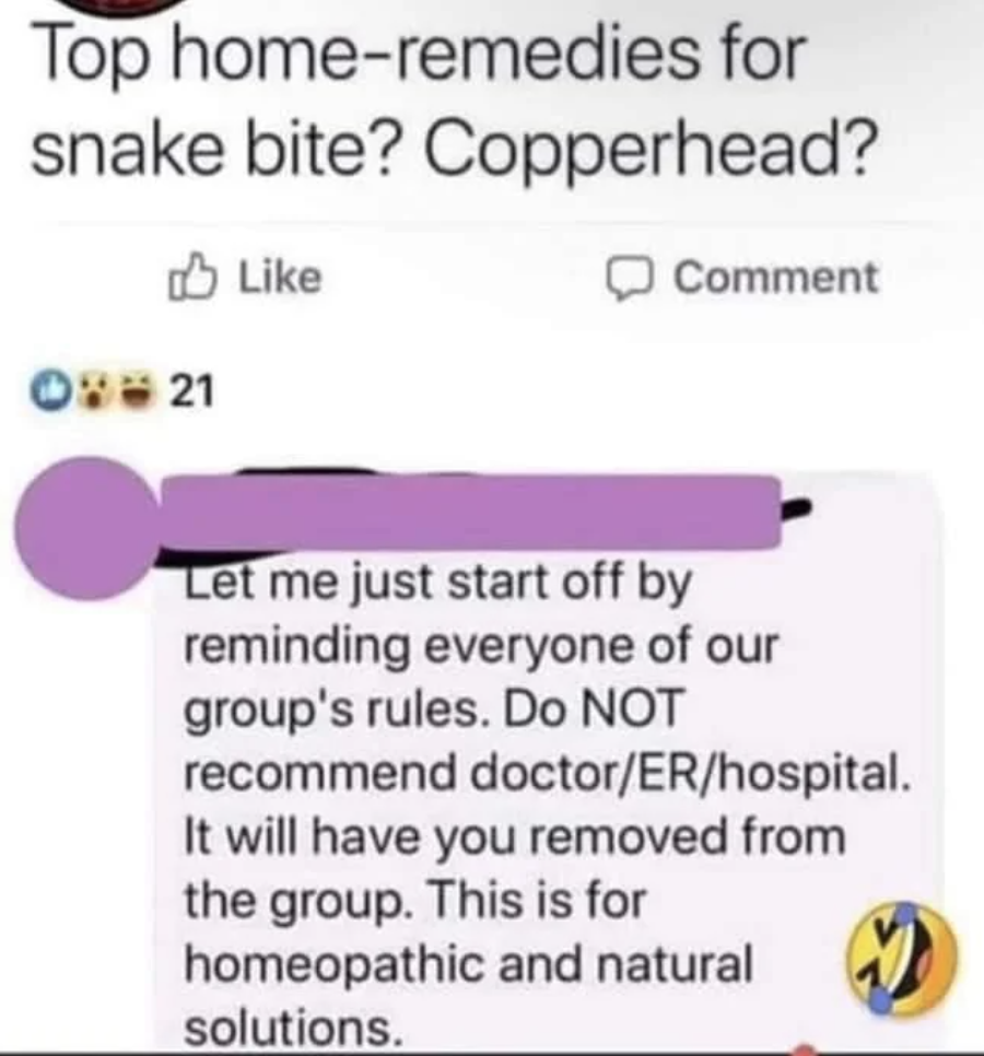 Post asking for home remedies for a copperhead snake bite. Comment advises against contacting doctors or hospitals, stressing group rules for homeopathic solutions only
