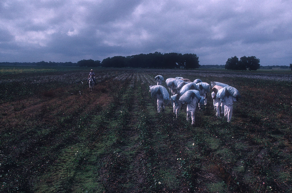 People in white clothing are working in a field, carrying large bundles on their heads. A lone person on horseback is seen in the background
