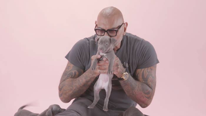 Dave Bautista, in casual clothing with tattoos visible, holds a small puppy with both hands against a plain background