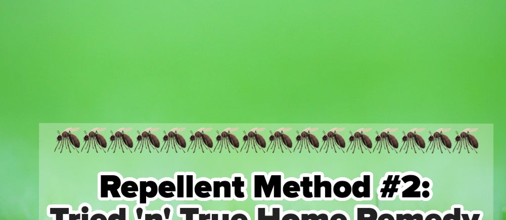 "Repellent Method #2: Tried 'n' True Home Remedy" text with mosquito graphics
