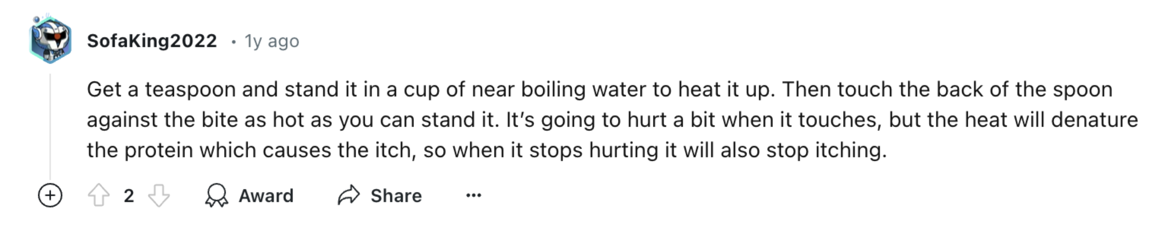 A comment suggesting to heat a spoon in near boiling water, then touch it to a bug bite to denature the protein causing the itch and alleviate the pain and itching