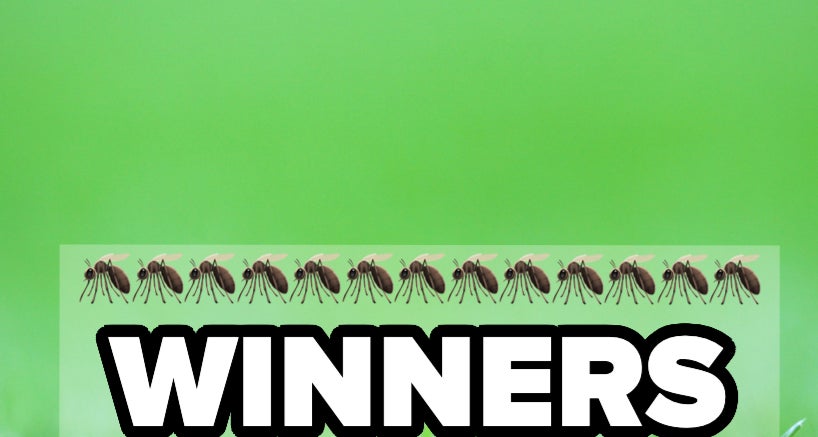 "WINNERS (aka my personal faves)" text with mosquito graphics