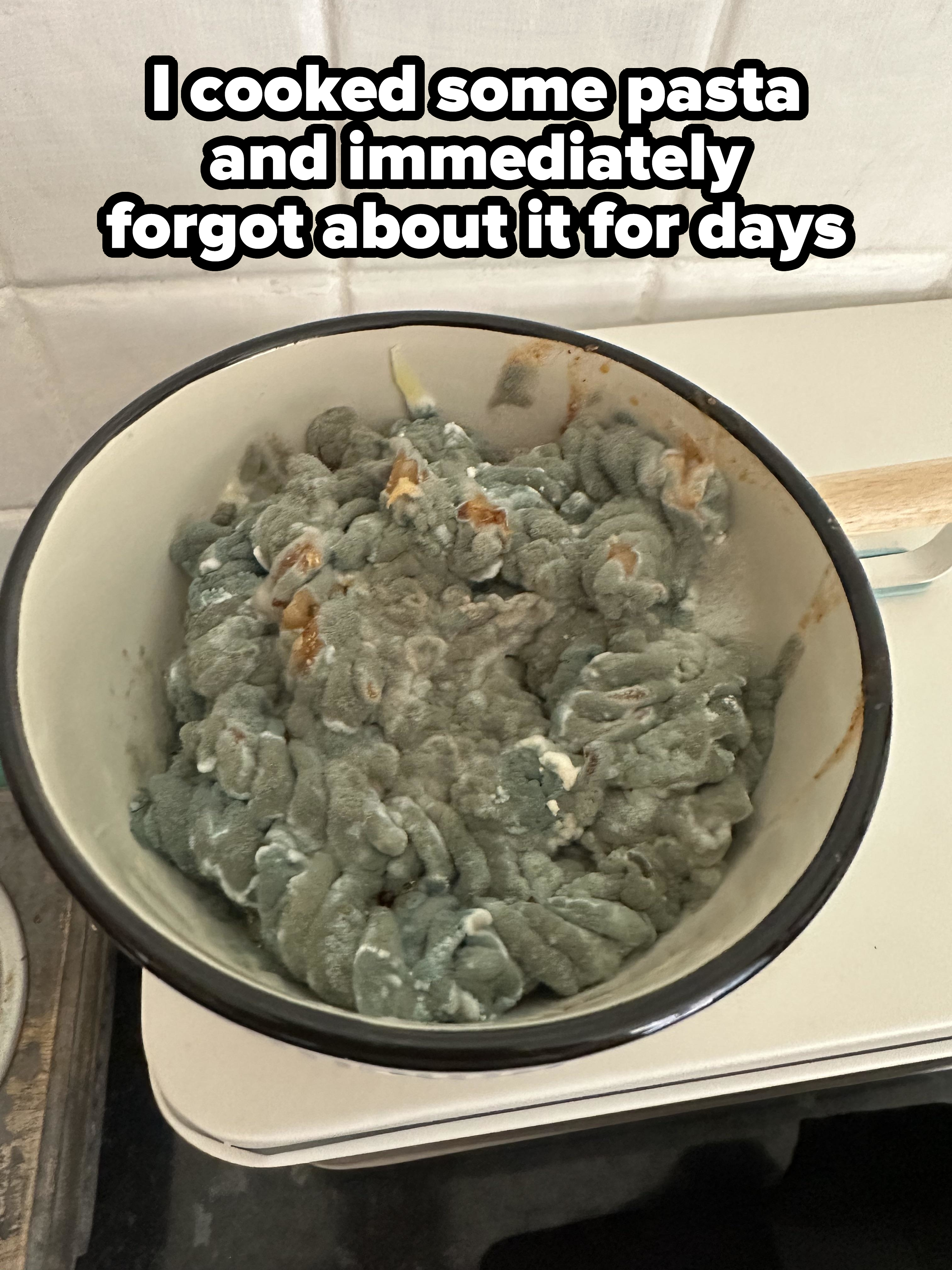 Bowl of spoiled, moldy pasta in a kitchen