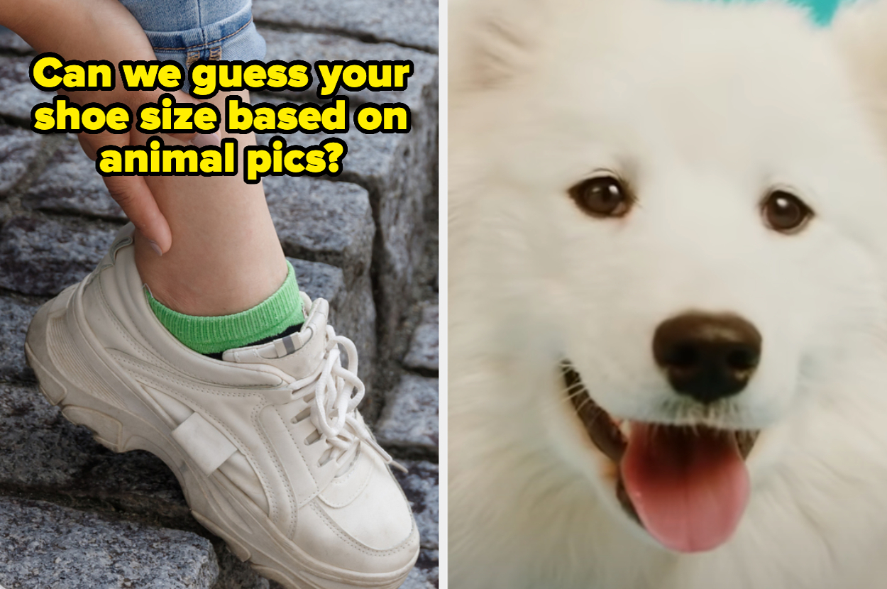 Choose Animals And I ll Guess Your Shoe Size