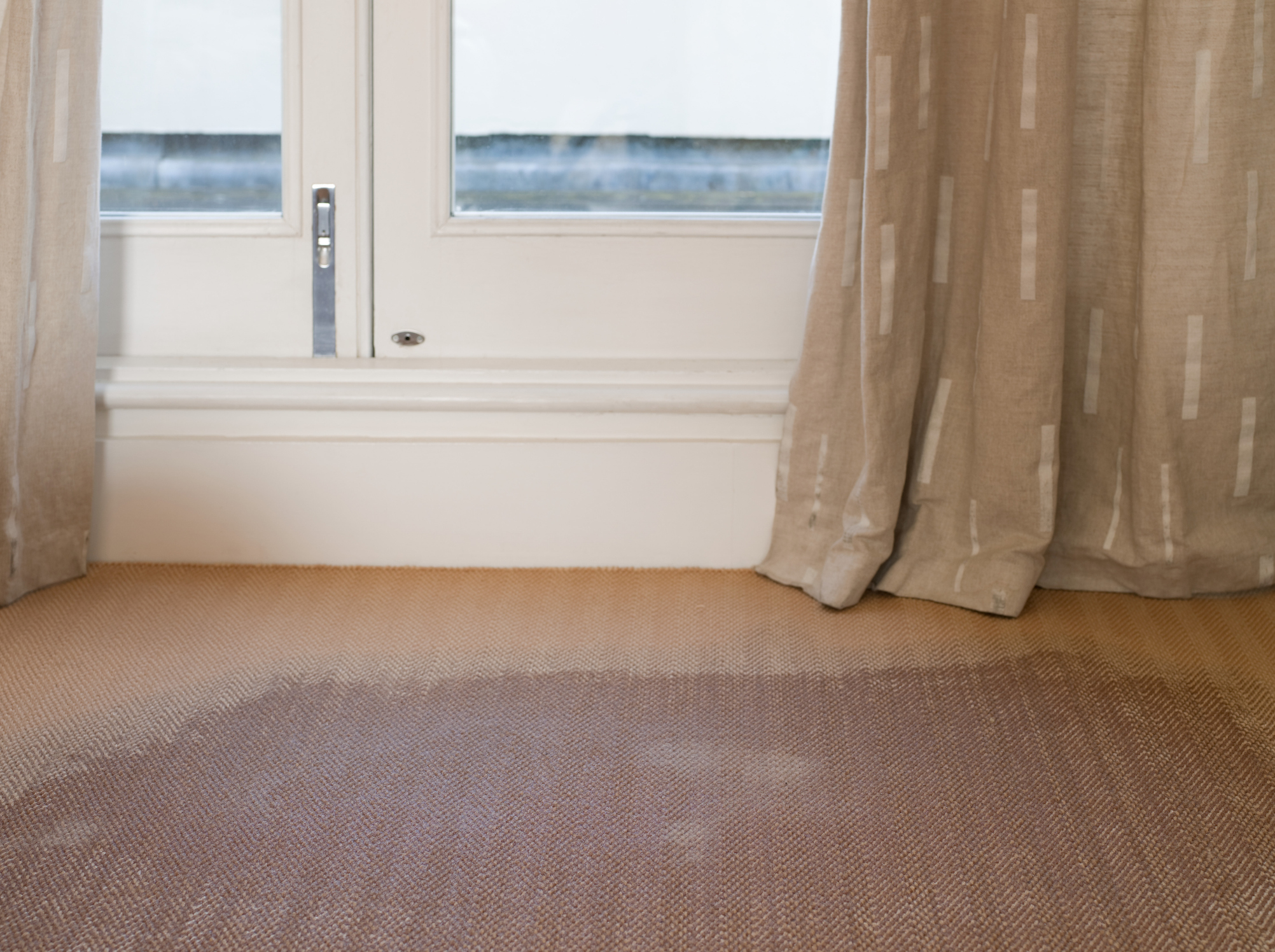 A faded area on a beige carpet near a window, with light-colored curtains partially covering the window