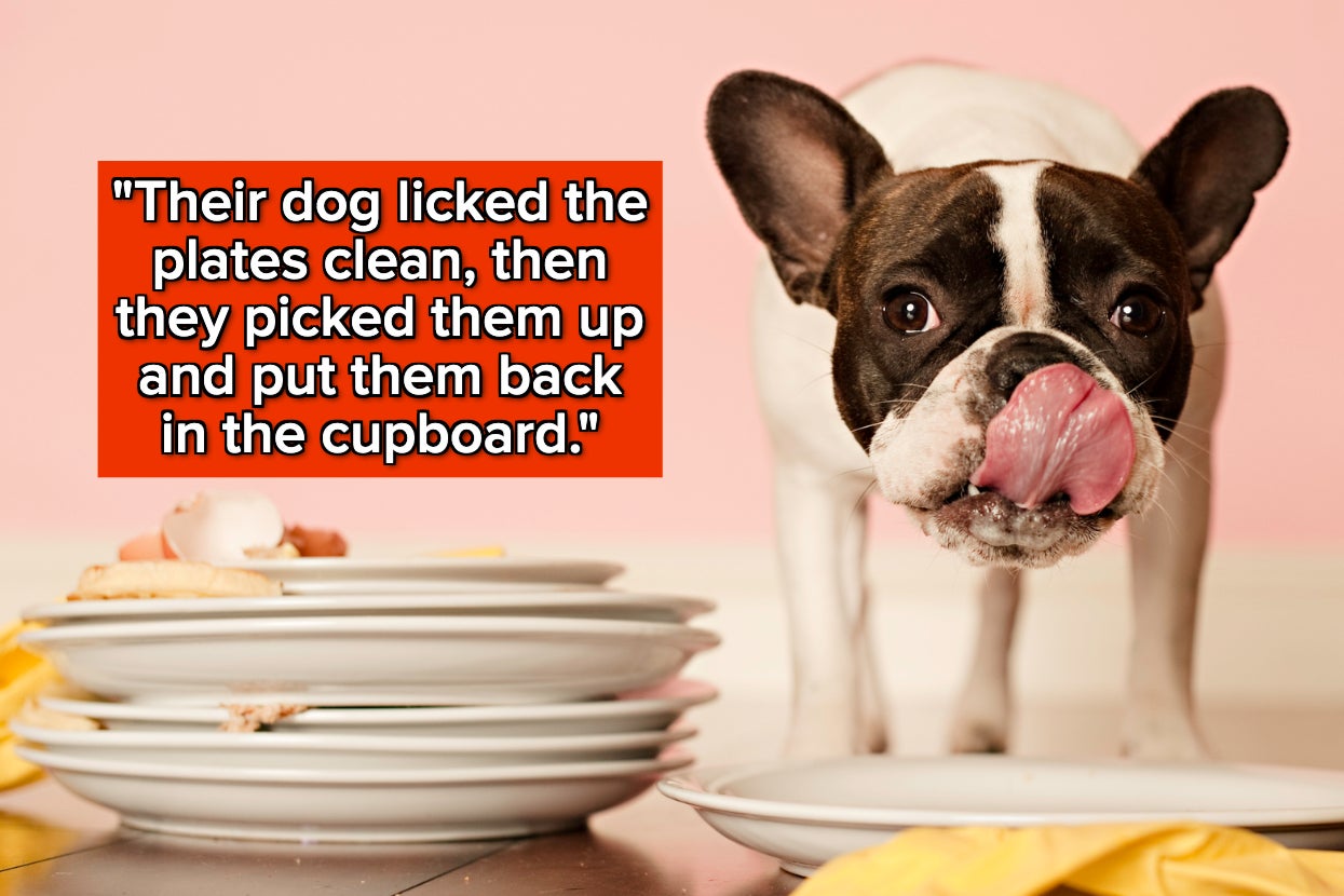 19 Horrified House Guests Who Took One Look Around And Thought, 