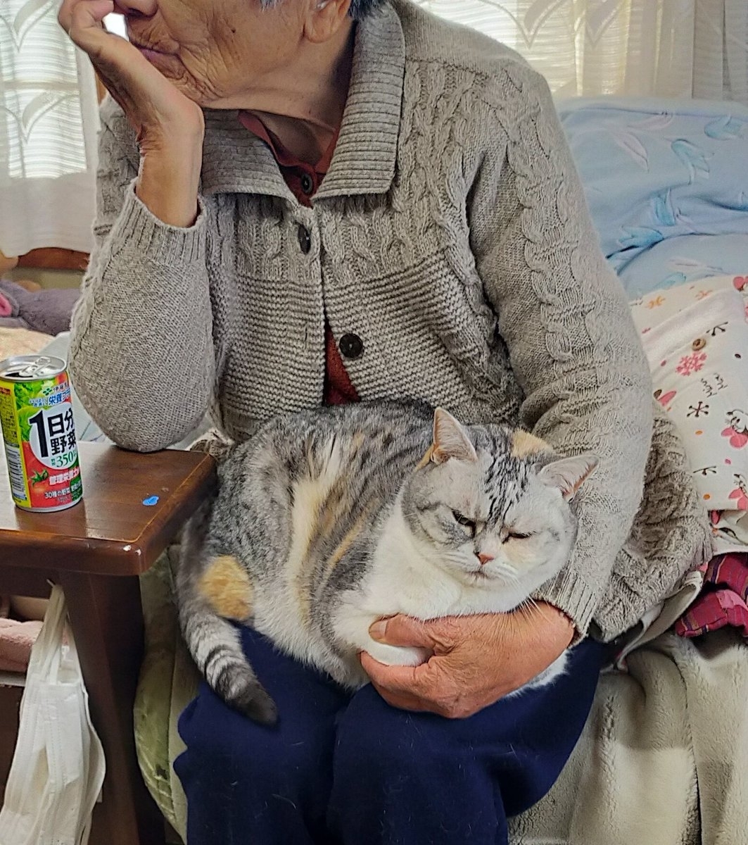 まさまささんのX（旧Twitter）より