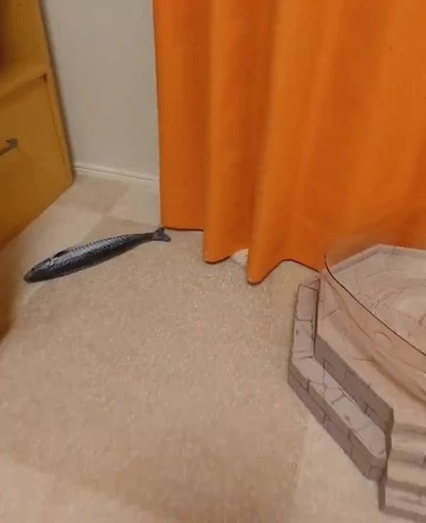 カーテンの裾から愛猫のおててらしきもふもふが(こめままさんのXより)