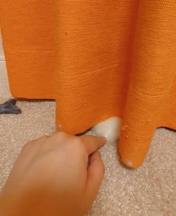 カーテンの裾から覗くもふもふをつんつんしてみた(こめままさんのXより)