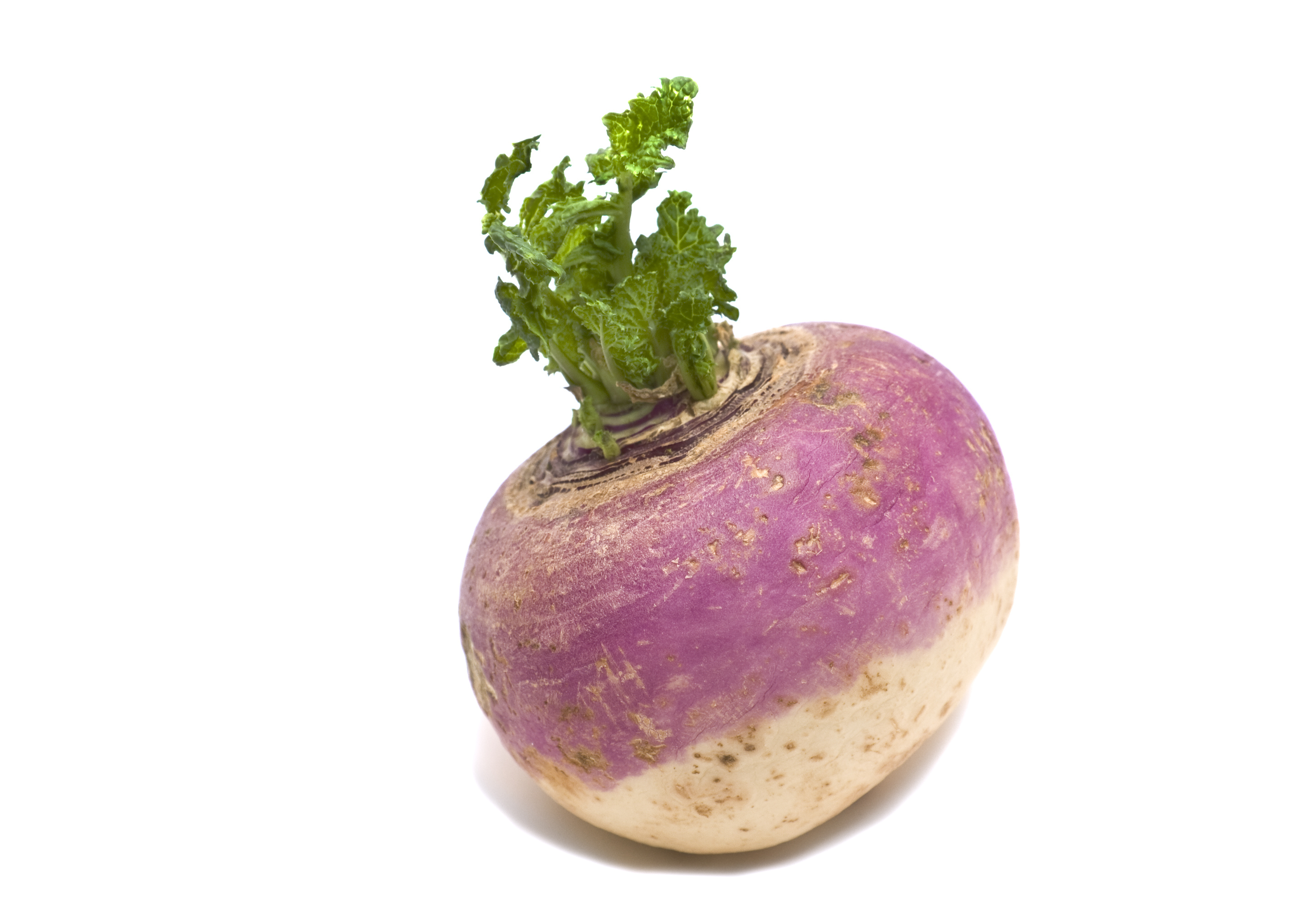 A fresh turnip with green leaves on top, showcasing its round shape and textured skin
