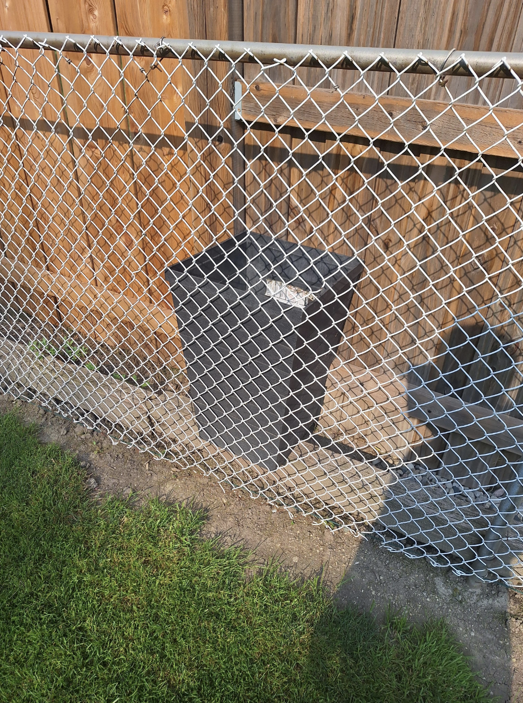A black trash can is placed beside a wooden fence, behind a chain-link fence. Grass and dirt are visible in the lower part of the image