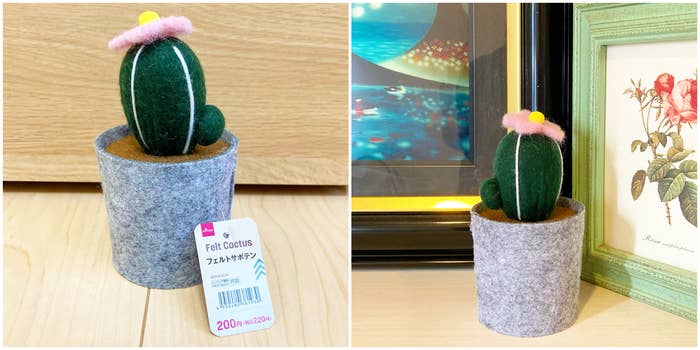 DAISO(ダイソー)のかわいいインテリア「フェルトサボテン」
