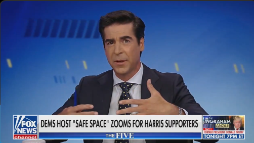 FOXニュースの「ザ・ファイブ」でジェシー・ワターズが話している。下部に「DEMS HOST 'SAFE SPACE' ZOOMS FOR HARRIS SUPPORTERS」と表示されている。