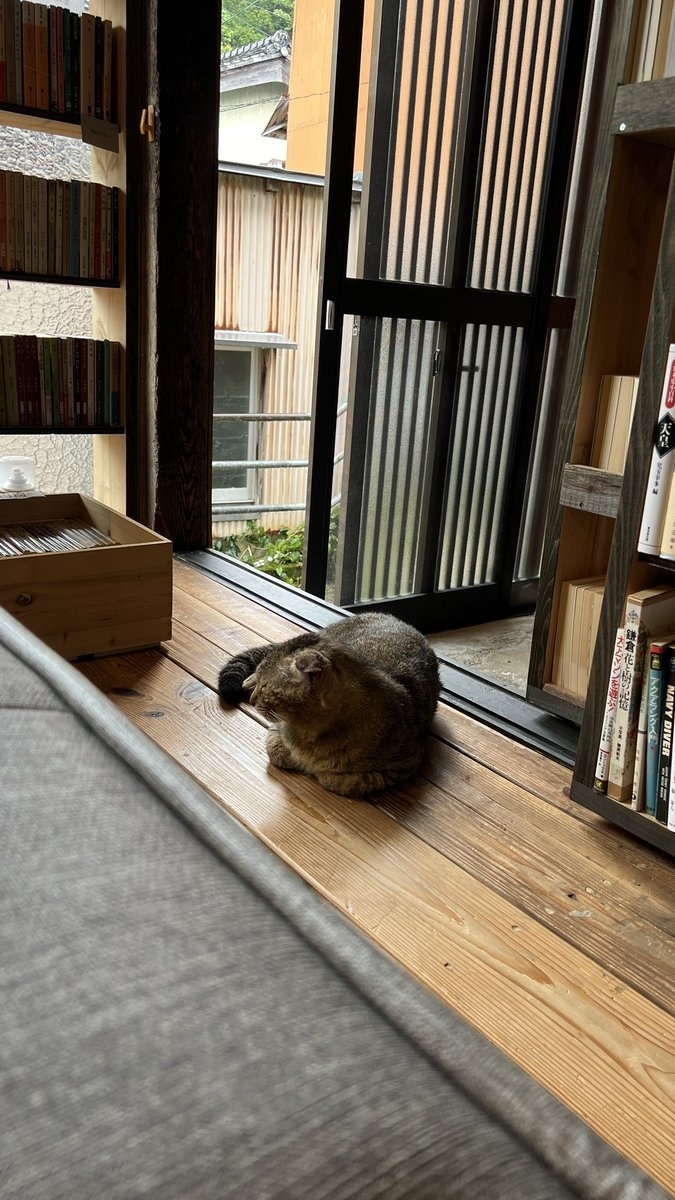 雨宿りしにきて寝た猫ちゃん / トンガ坂文庫さんのXより