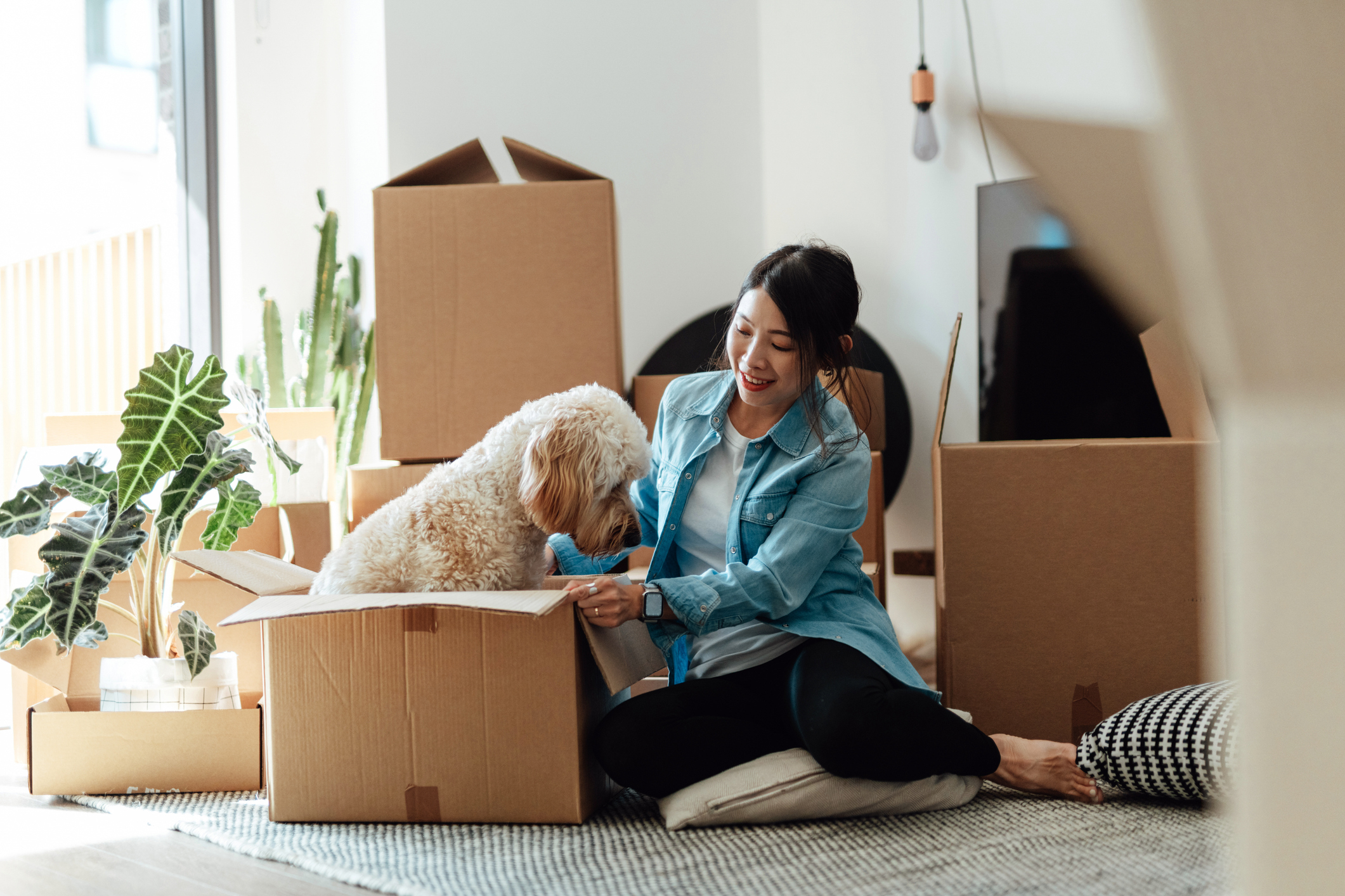 A woman sits on a cushion surrounded by moving boxes and pets a dog sitting in an open box. They seem to be in the process of moving