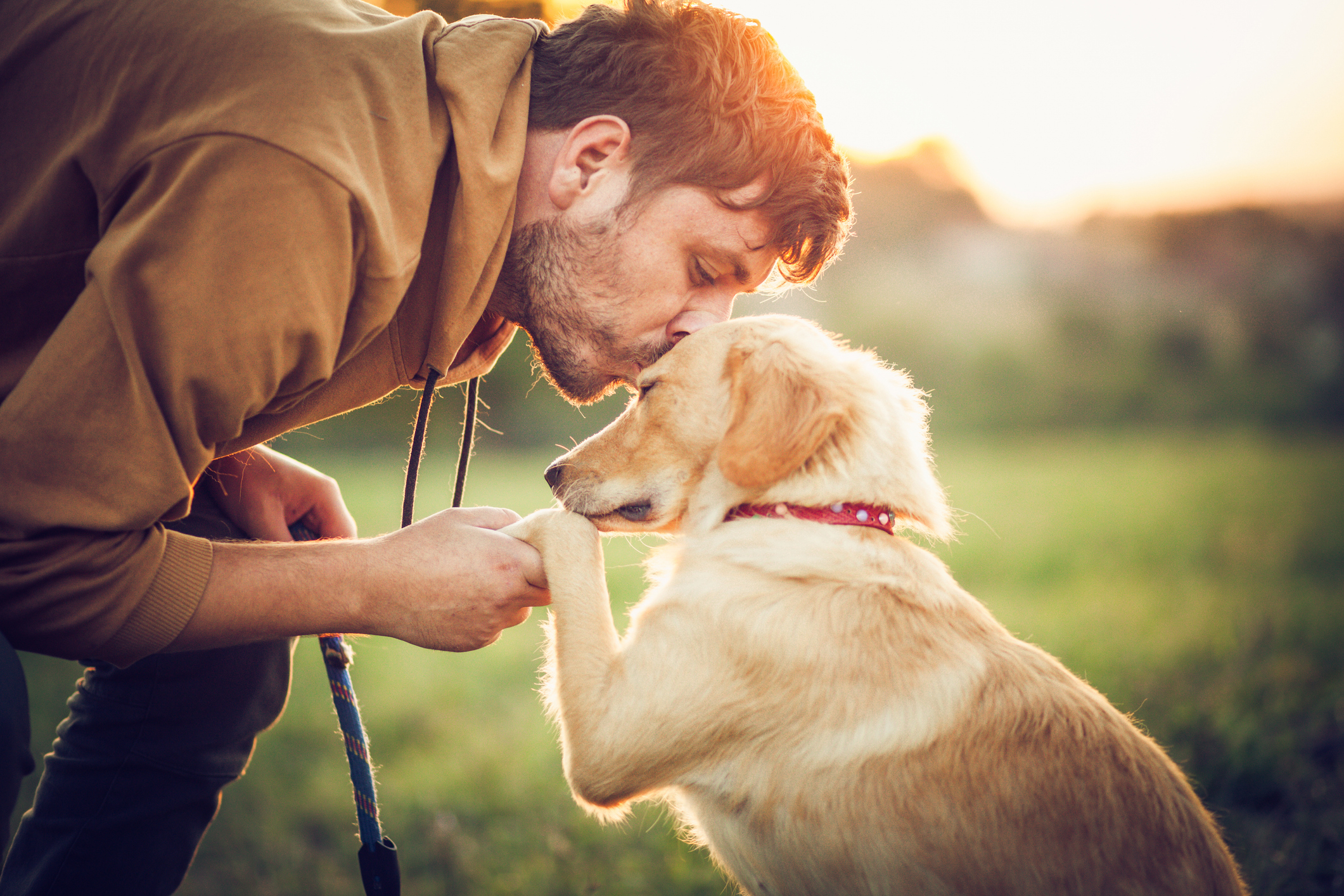 Man kisses a golden retriever's paw in a tender moment outdoors