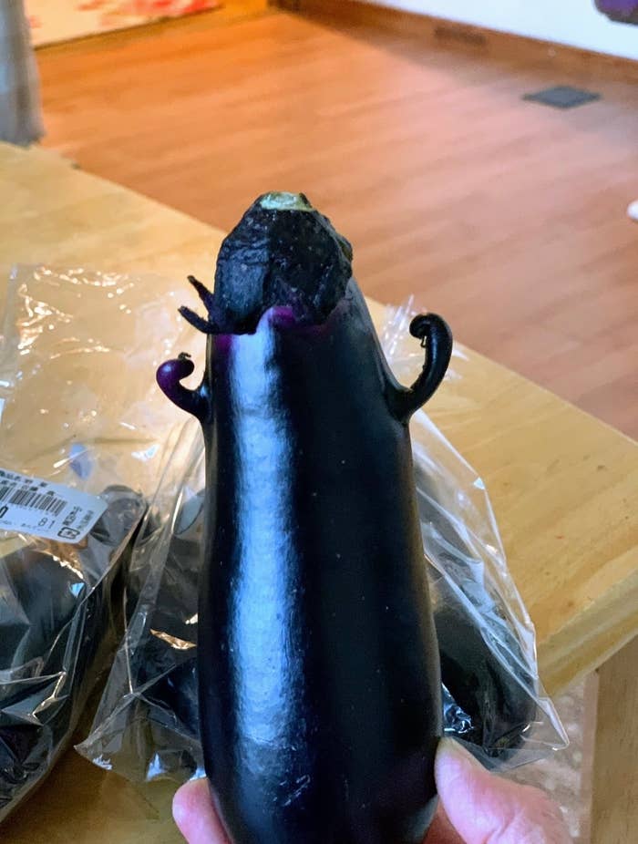 アカネマル。さん(@hDRM5vU5nbsxllg)のXより