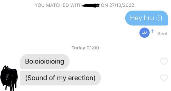 A dating app conversation shows one person greeting &quot;Hey hru :))&quot; and the other responding with &quot;Boiioioioing (Sound of my erection)&quot; at 01:00