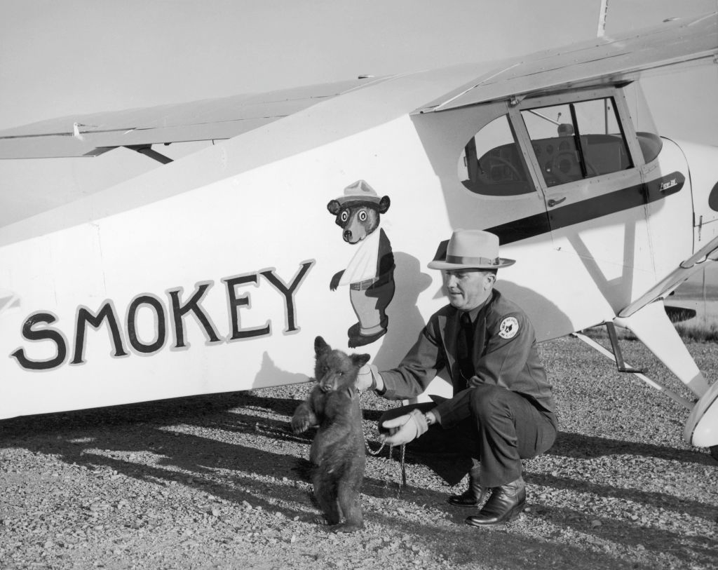 A man in uniform crouches beside a small bear cub in front of an airplane with the name "Smokey" and an image of Smokey Bear painted on it